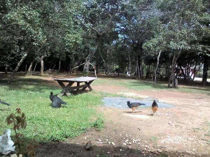 Pousada E Camping Aldeia Da Lua São Jorge 외부 사진
